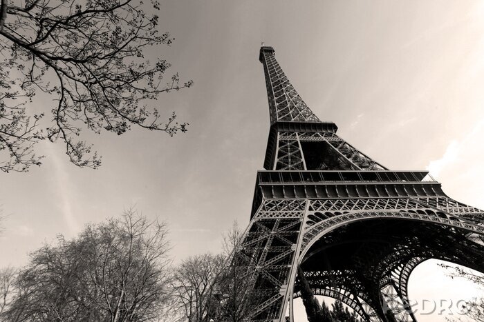 Tableau  Tour Eiffel - Tour Eiffel