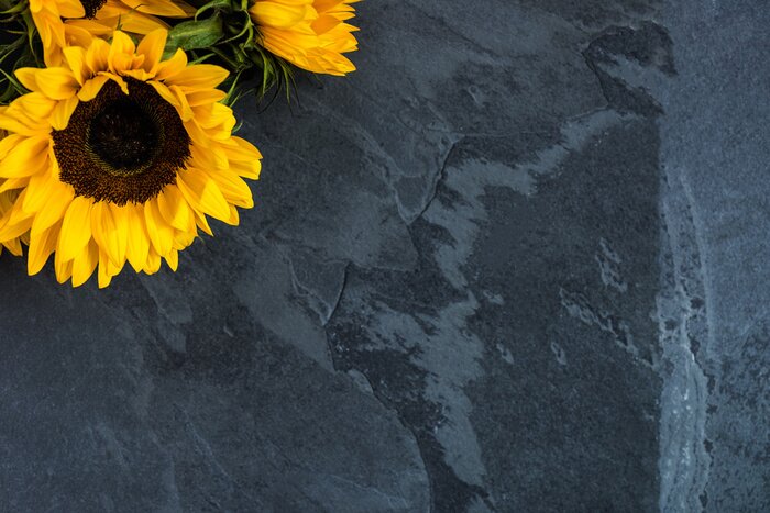 Tableau  Tournesol sur fond gris