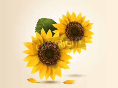 Tableau  Tournesols 3D