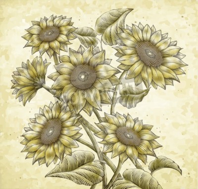 Tableau  Tournesols de style vintage
