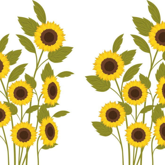 Tableau  Tournesols sur de hautes tiges