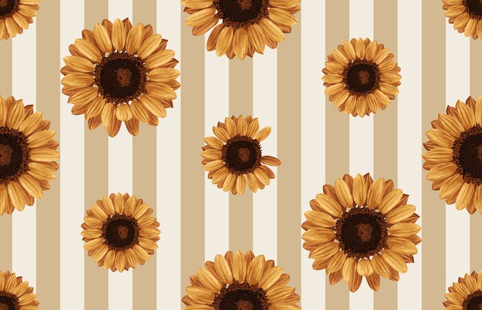 Tableau  Tournesols sur fond de rayures