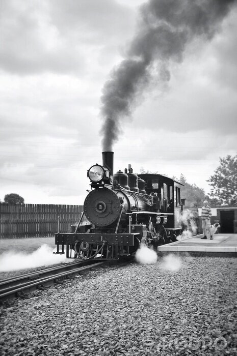 Tableau  Train à vapeur