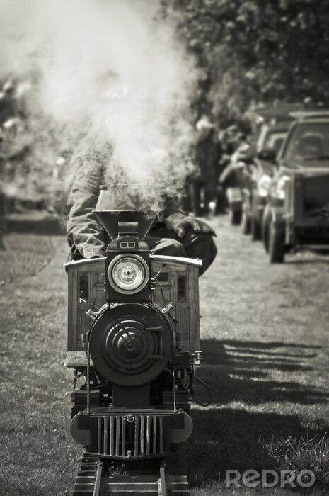 Tableau  Train à vapeur miniature