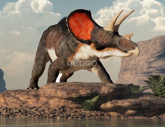 Tableau  Triceratops herbivore