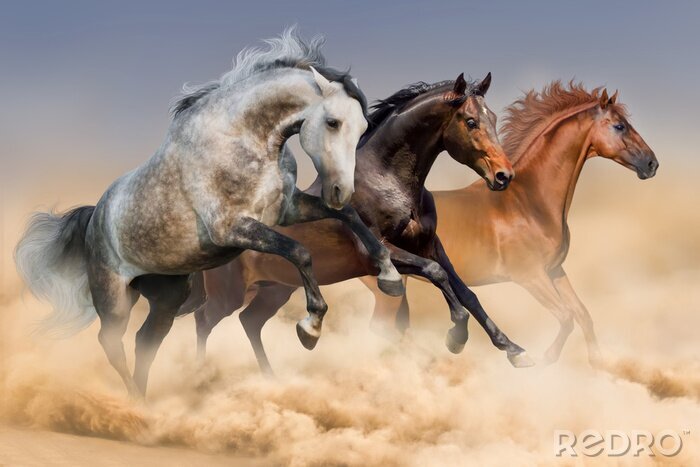 Tableau  Trois chevaux