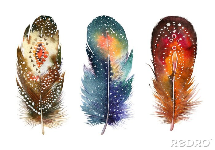 Tableau  Trois plumes colorées