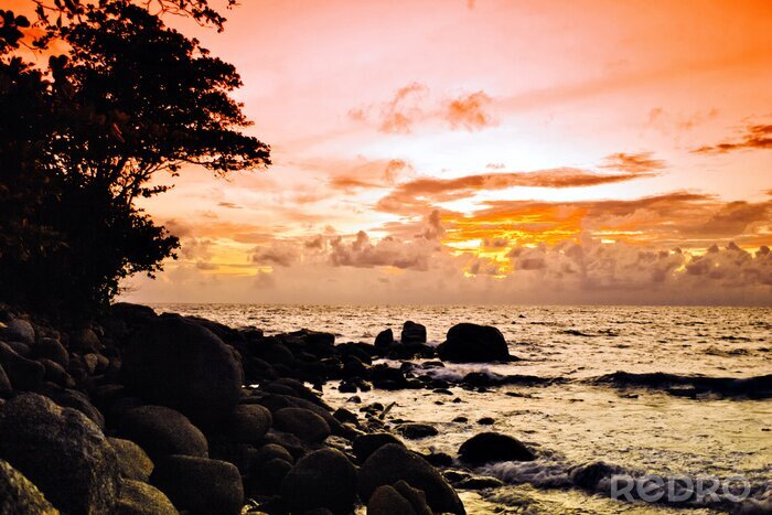 Tableau  Tropical coucher de soleil coloré .