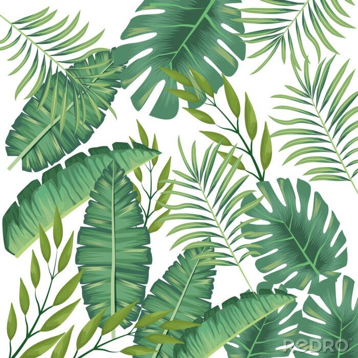 Tableau  tropical leafs foliage pattern background
