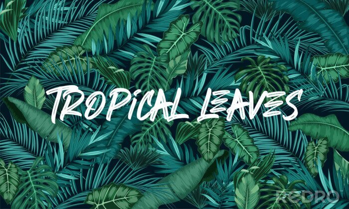 Tableau  Tropical leaves forest background