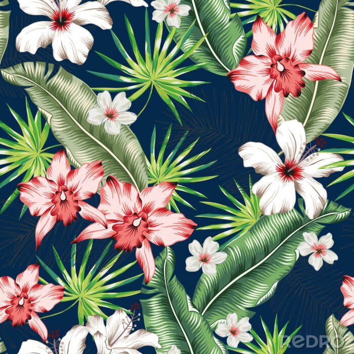 Tableau  Tropical pink orchid, white hibiscus flowers, banana palm leaves, navy background. Vector seamless pattern. Jungle foliage illustration. Exotic plants. Summer beach floral design. Paradise nature