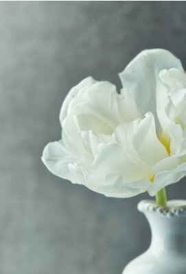 Tableau  Tulipes fond gris blanc