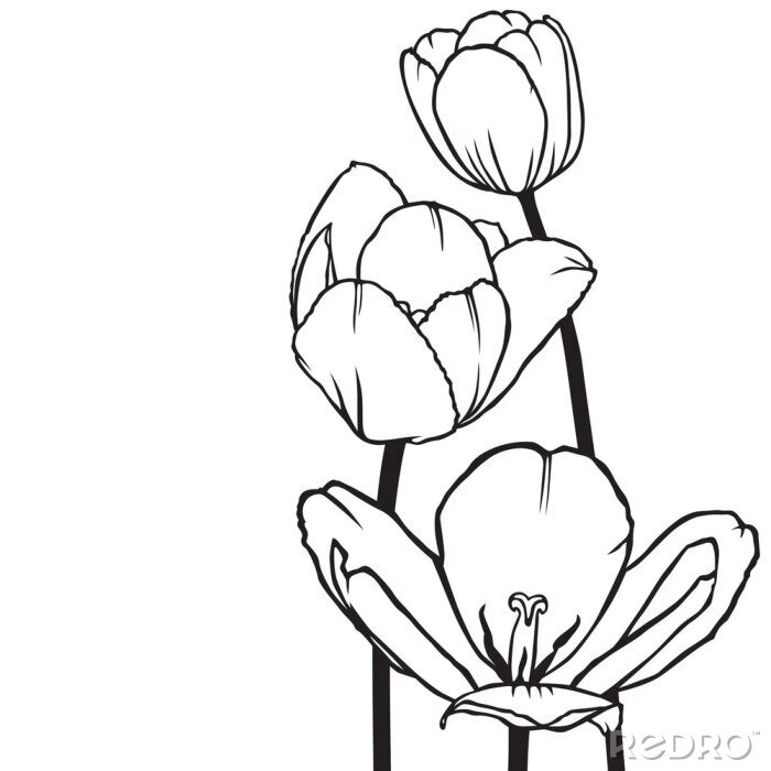 Tableau  Tulipes minimalistes
