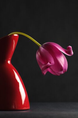 tulipes roses dans un vase sur un fond noir