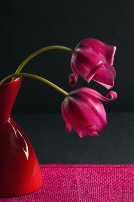 Tableau  tulipes roses dans un vase sur un fond noir