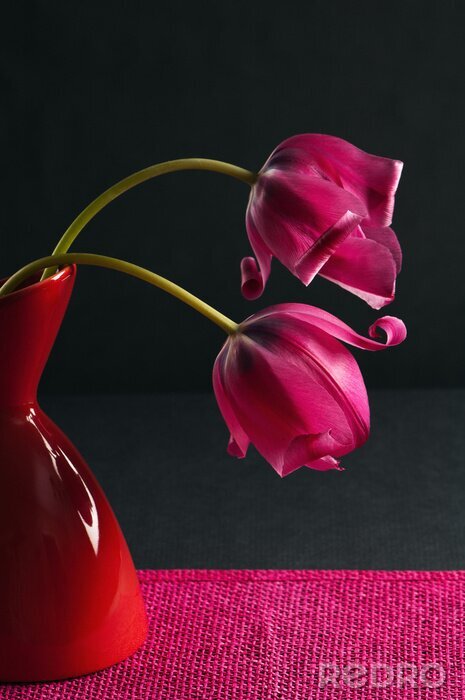Tableau  tulipes roses dans un vase sur un fond noir