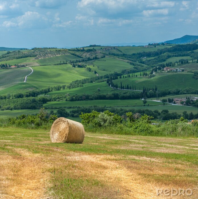 Tableau  typical tuscan landscape