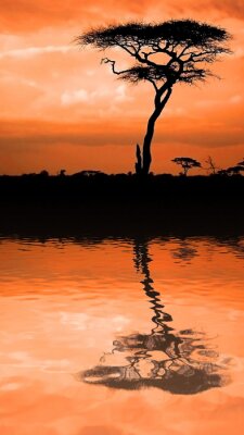 Tableau  Un arbre sur fond de ciel orange