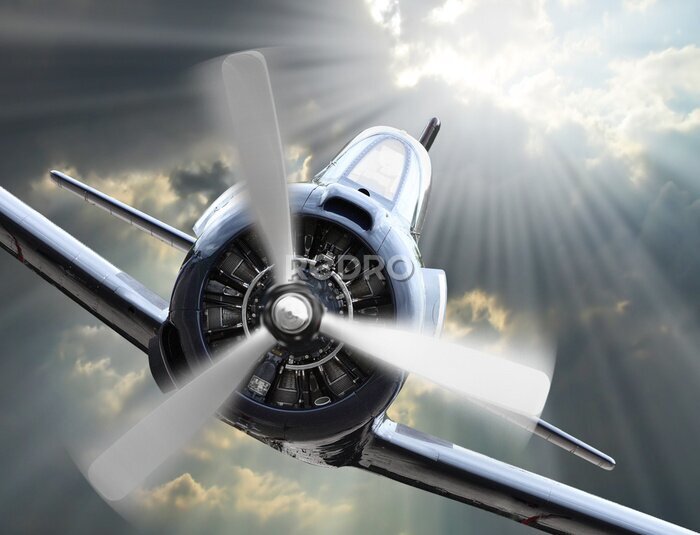 Tableau  Un avion de chasse en plein soleil