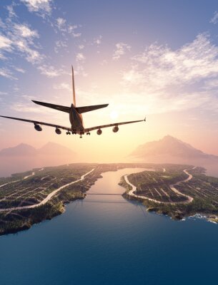 Un avion survolant une île