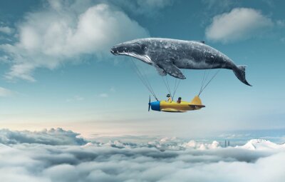 Un avion suspendu à une baleine