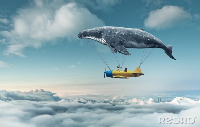 Tableau  Un avion suspendu à une baleine