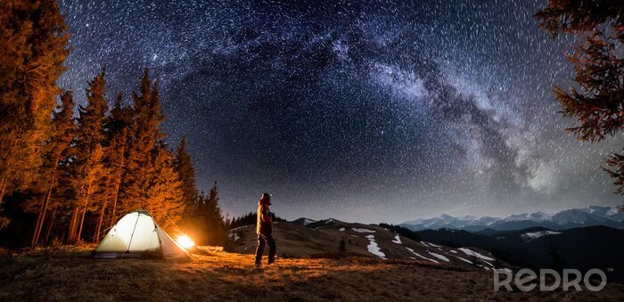 Tableau  Un camping forestier contre les étoiles