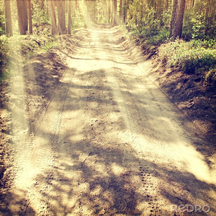 Tableau  Un champ de sable dans la forêt