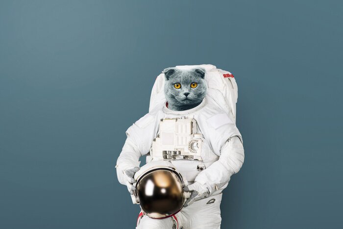 Tableau  Un charmant chaton astronaute 