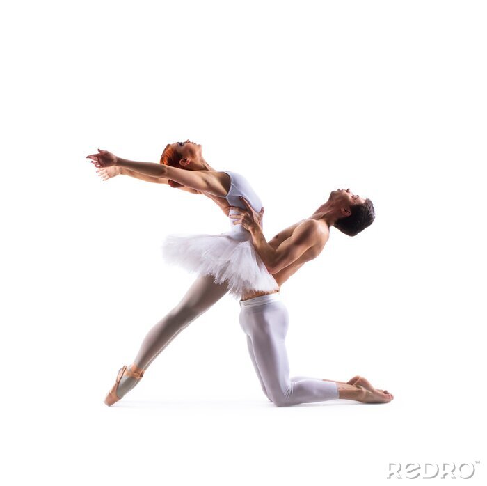 Tableau  Un couple danse le ballet