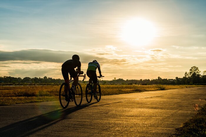 Tableau  Un couple de cyclistes en voyage