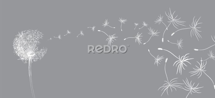 Tableau  Un croquis d&#39;un pissenlit dont les graines s&#39;envolent.