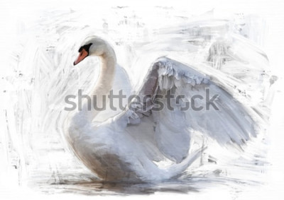 Tableau  Un cygne déploie ses ailes