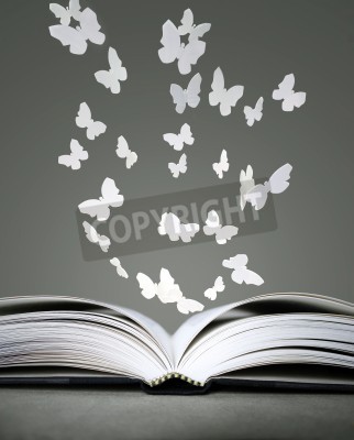 Tableau  Un livre ouvert avec des papillons blancs sur fond gris