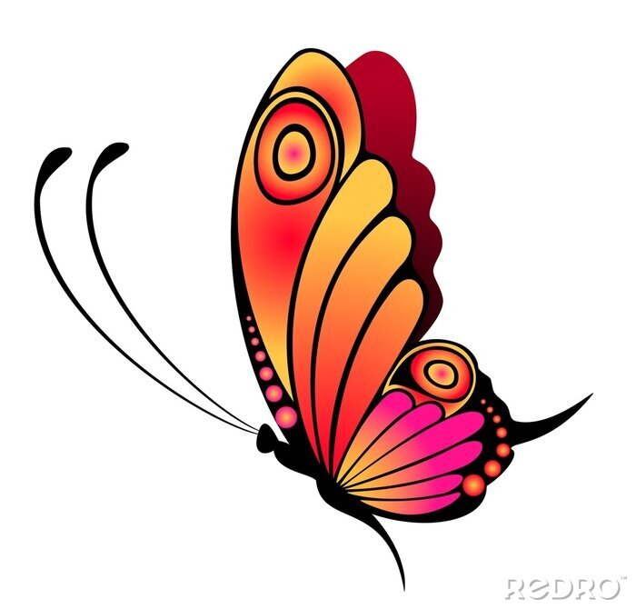 Tableau  Un papillon aux ailes rose-orange aux graphismes minimalistes