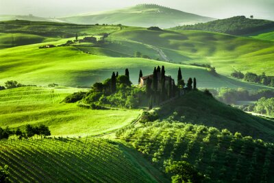 Un paysage vert de Toscane