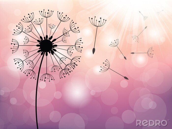 Tableau  Un pissenlit minimaliste sur fond rose