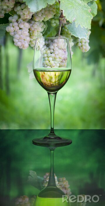 Tableau  Un verre de vin blanc sur fond de fruits