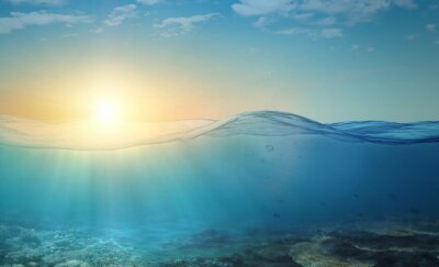 Sticker  Underwater background