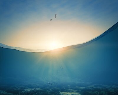 Sticker  Underwater background