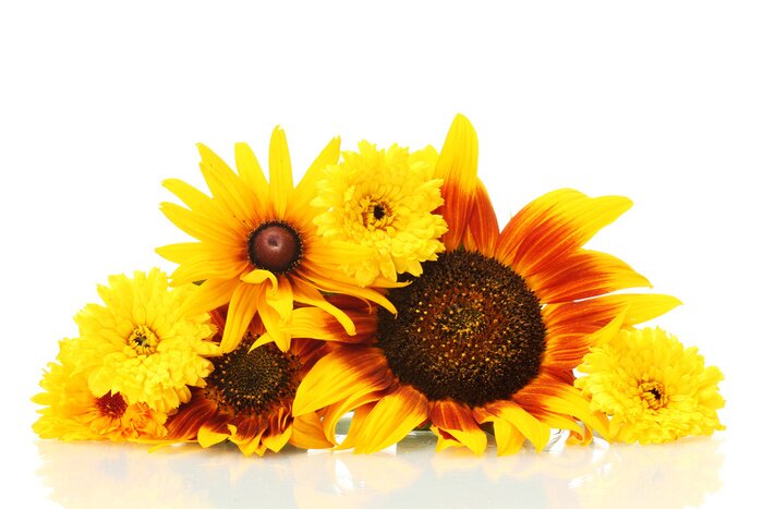 Tableau  Une brassée de fleurs colorées