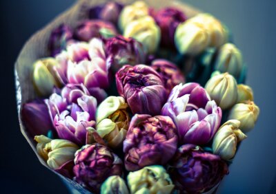 Tableau  Une brassée de tulipes multicolores