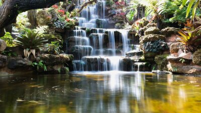 Tableau  Une cascade dans un jardin japonais