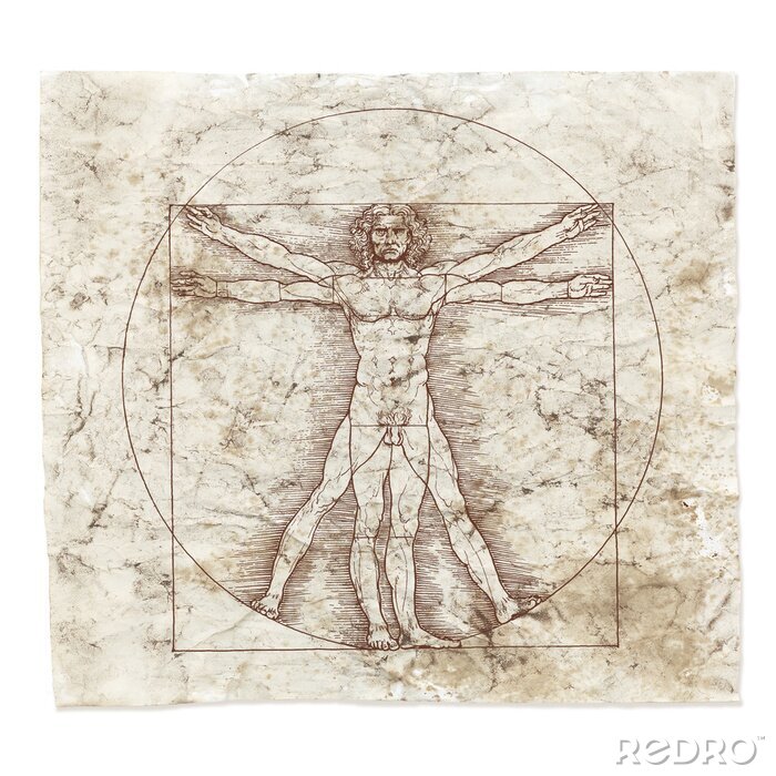 Tableau  Une gravure de Léonard de Vinci