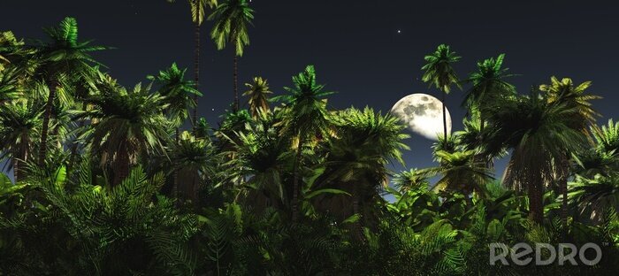 Tableau  Une nuit dans la jungle