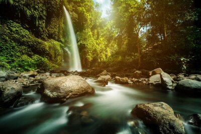 Tableau  Une petite cascade en Indonésie