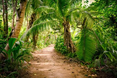 Tableau  Une promenade dans la jungle