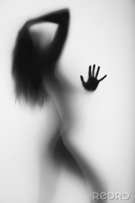 Tableau  Une silhouette féminine sensuelle