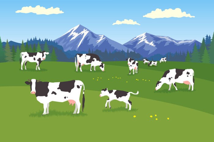 Tableau  Vaches pour enfants dans un pâturage vert