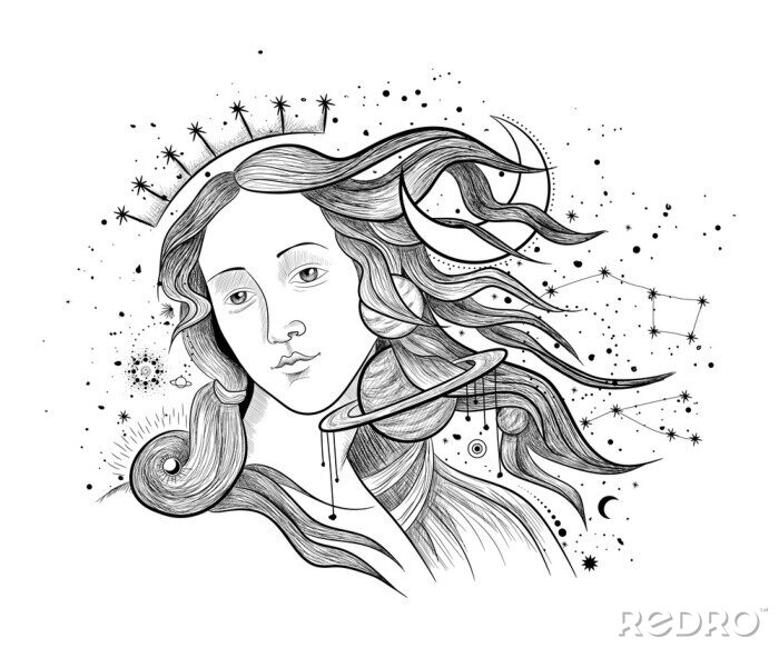 Tableau  Vector illustration set of moon phases. Different stages of moonlight activity in vintage engraving style. Zodiac Signs